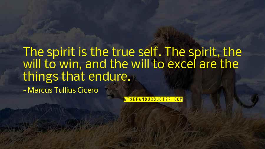 You Will Excel Quotes By Marcus Tullius Cicero: The spirit is the true self. The spirit,