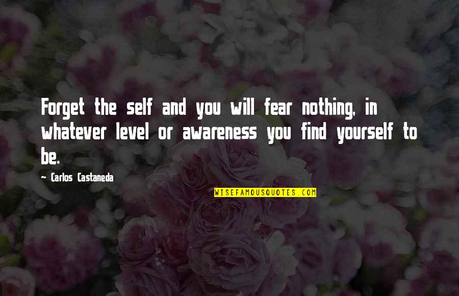 You Will Find Yourself Quotes By Carlos Castaneda: Forget the self and you will fear nothing, You Will Find Yourself Quotes By Carlos Castaneda: Forget the self and you will fear nothing,