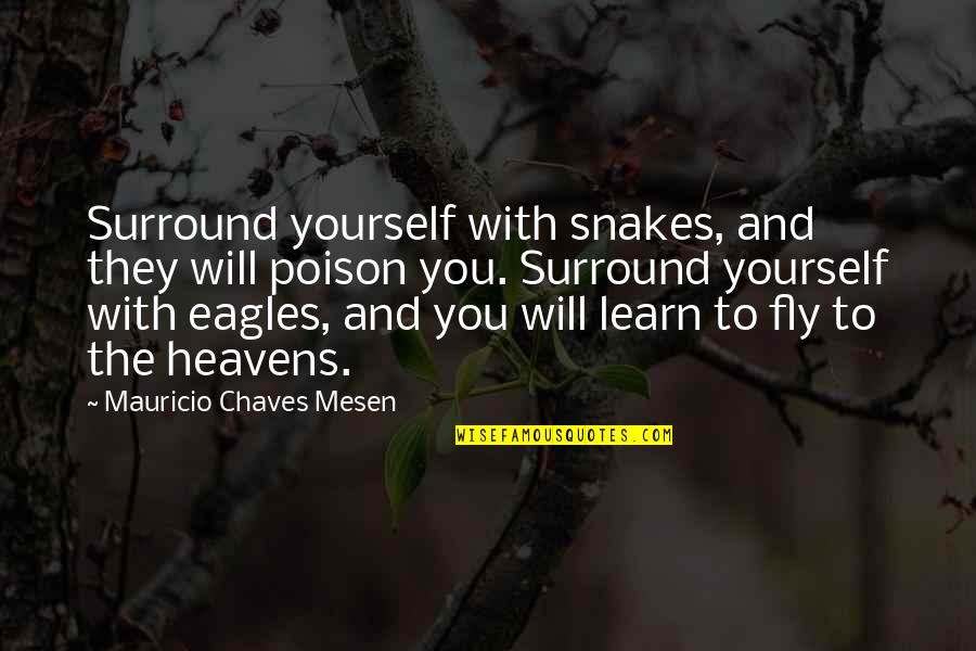 You Will Fly Quotes By Mauricio Chaves Mesen: Surround yourself with snakes, and they will poison You Will Fly Quotes By Mauricio Chaves Mesen: Surround yourself with snakes, and they will poison