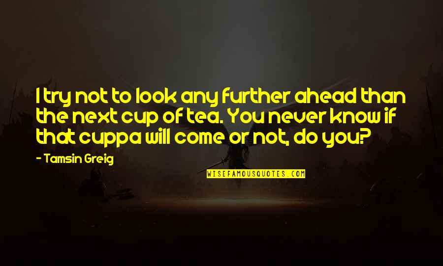 You Will Know Quotes By Tamsin Greig: I try not to look any further ahead