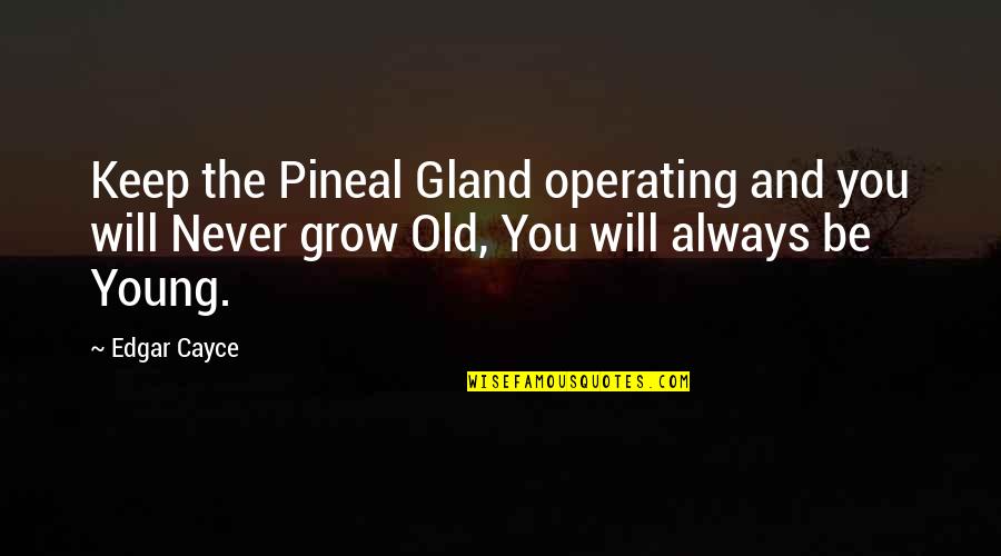 You Will Never Grow Old Quotes By Edgar Cayce: Keep the Pineal Gland operating and you will