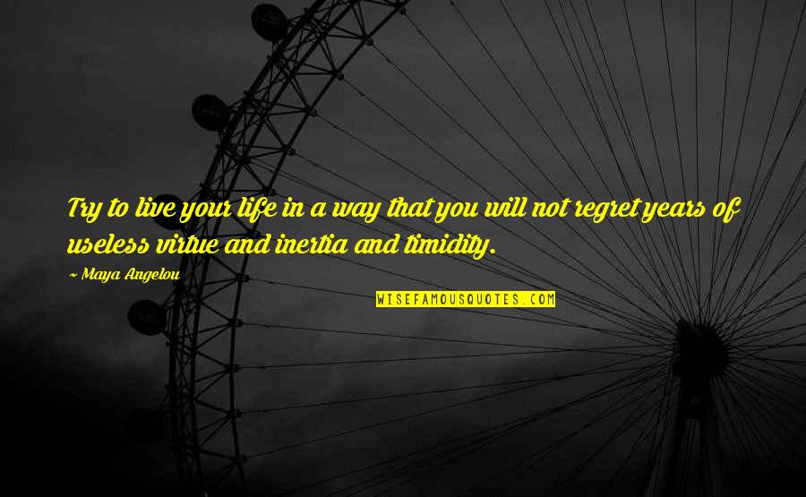 You Will Not Regret Quotes By Maya Angelou: Try to live your life in a way