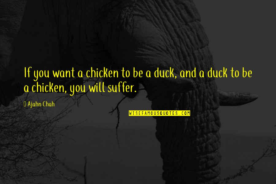 You Will Suffer Quotes By Ajahn Chah: If you want a chicken to be a