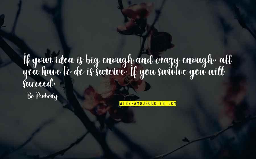You Will Survive Quotes By Bo Peabody: If your idea is big enough and crazy