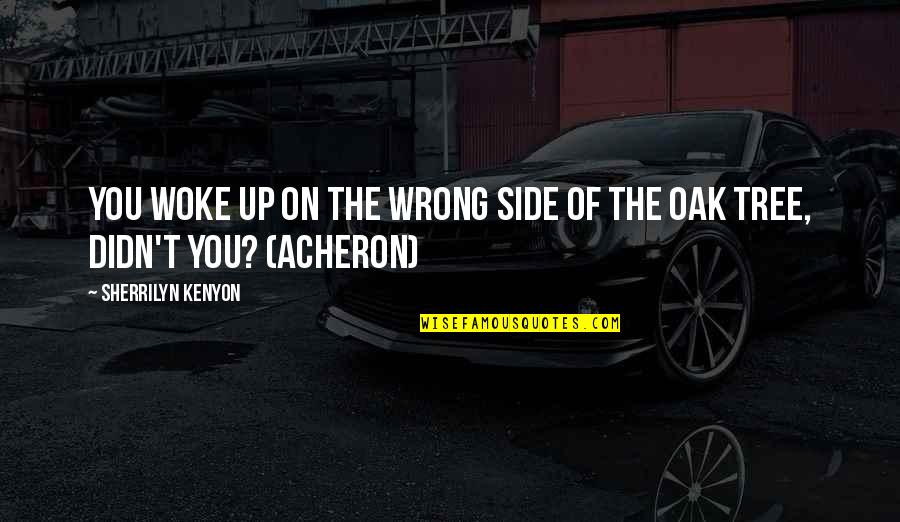 You Woke Up Quotes By Sherrilyn Kenyon: You woke up on the wrong side of