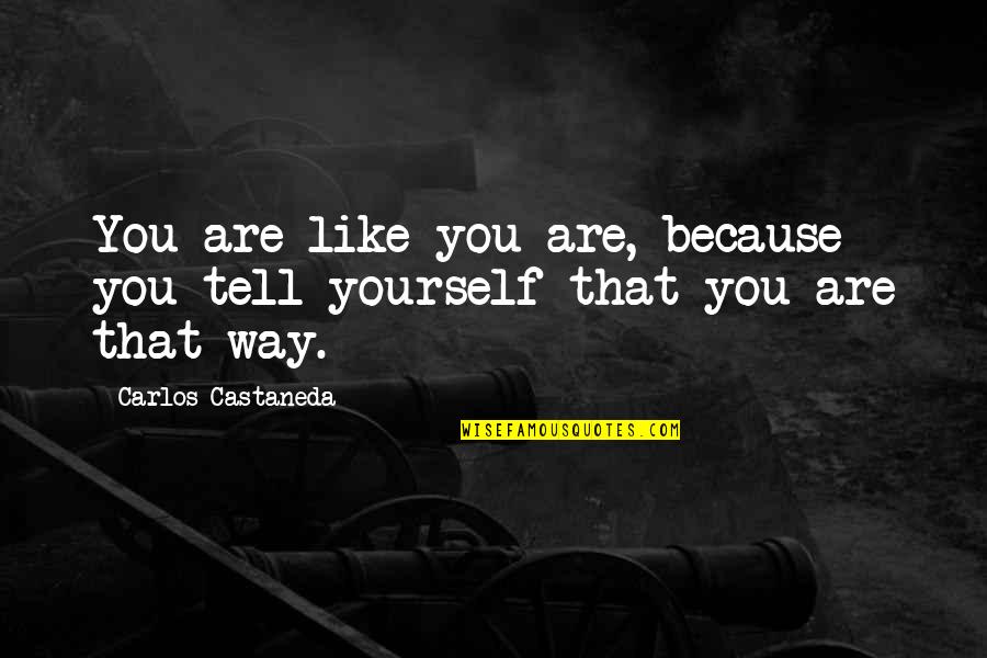 You Wont Beat Me Quotes By Carlos Castaneda: You are like you are, because you tell