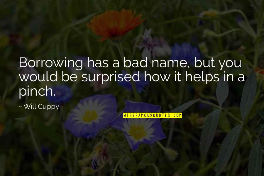 You Would Be Surprised Quotes By Will Cuppy: Borrowing has a bad name, but you would