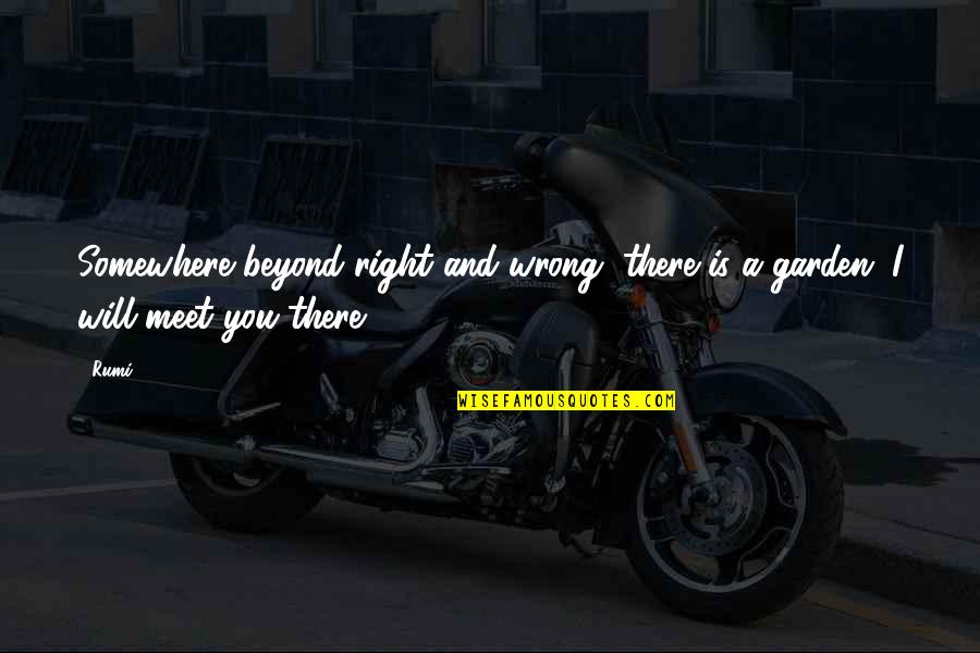 You Wrong Quotes By Rumi: Somewhere beyond right and wrong, there is a