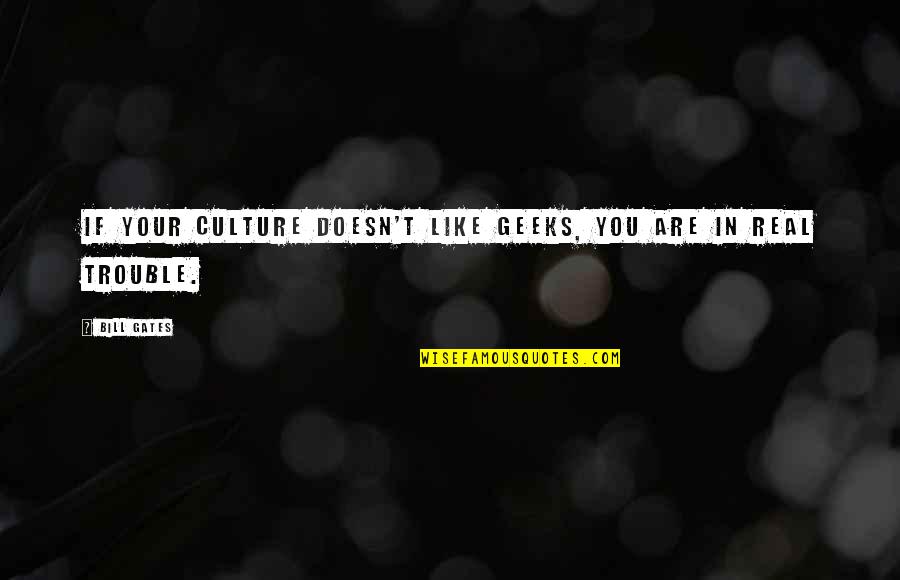 You Your Quotes By Bill Gates: If your culture doesn't like geeks, you are