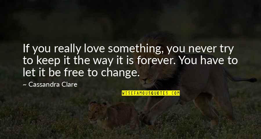 You'll Never Change Quotes By Cassandra Clare: If you really love something, you never try You'll Never Change Quotes By Cassandra Clare: If you really love something, you never try
