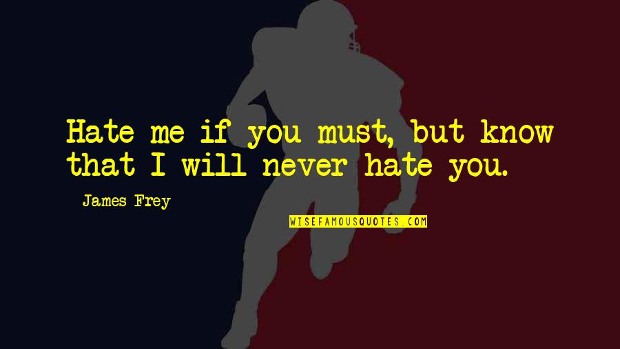 You'll Never Know Me Quotes By James Frey: Hate me if you must, but know that
