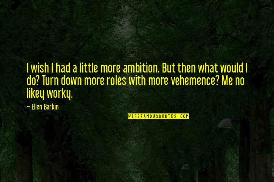 You'll Wish You Had Me Quotes By Ellen Barkin: I wish I had a little more ambition. You'll Wish You Had Me Quotes By Ellen Barkin: I wish I had a little more ambition.