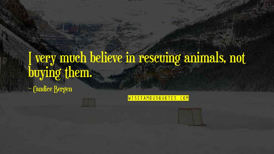 Youmna Cherry Quotes By Candice Bergen: I very much believe in rescuing animals, not