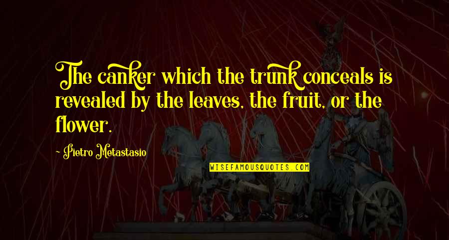 Youness Amrani Quotes By Pietro Metastasio: The canker which the trunk conceals is revealed