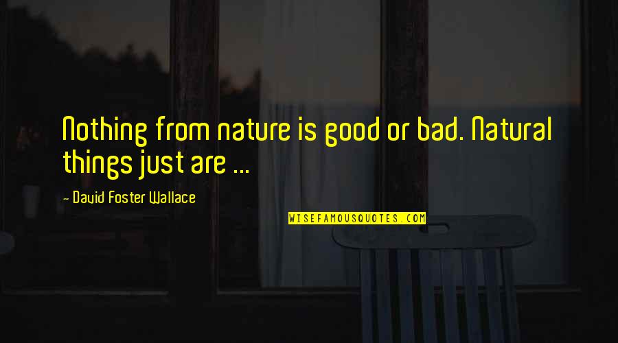 Young Adult Christian Fiction Quotes By David Foster Wallace: Nothing from nature is good or bad. Natural