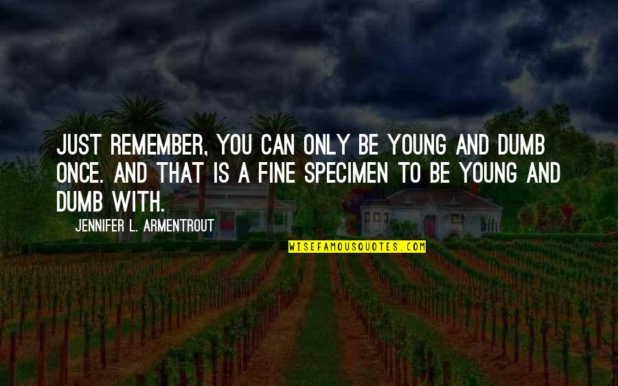 Young And Dumb Quotes By Jennifer L. Armentrout: Just remember, you can only be young and