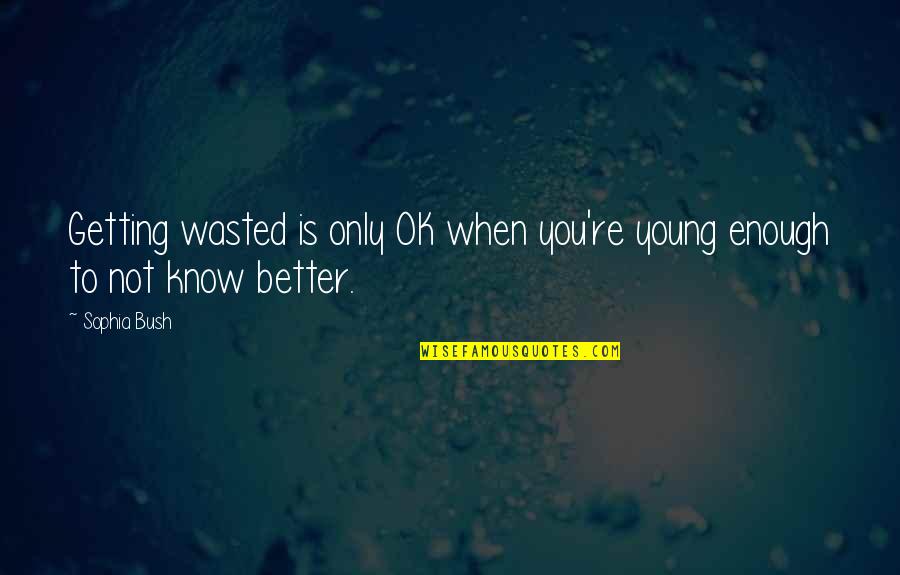 Young Enough To Know Better Quotes By Sophia Bush: Getting wasted is only OK when you're young