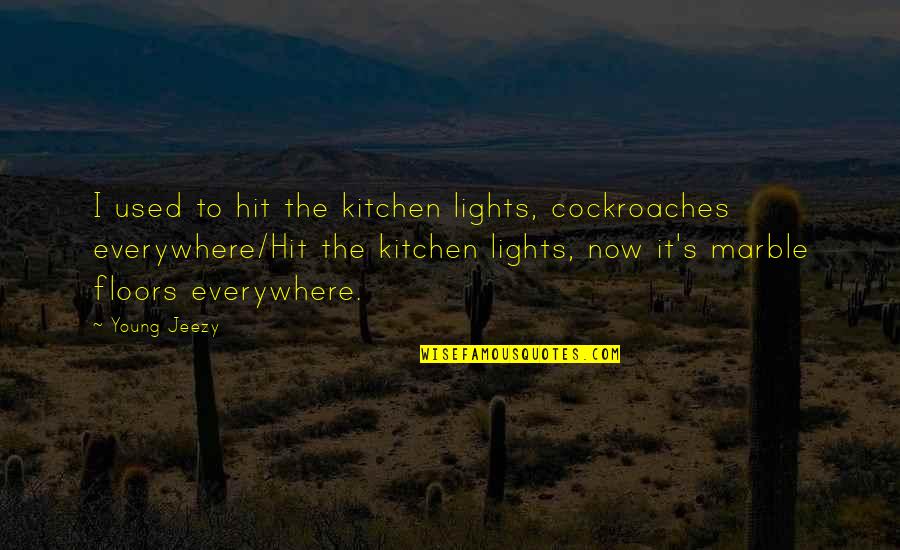 Young Jeezy Quotes By Young Jeezy: I used to hit the kitchen lights, cockroaches