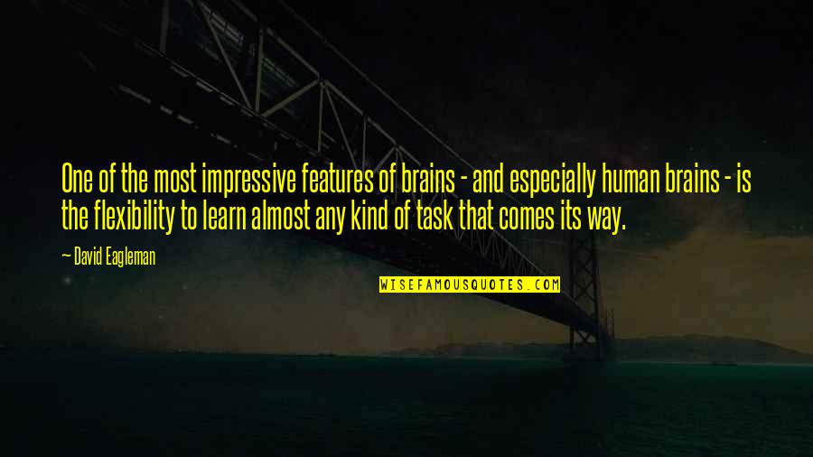 Young Student Quotes By David Eagleman: One of the most impressive features of brains Young Student Quotes By David Eagleman: One of the most impressive features of brains