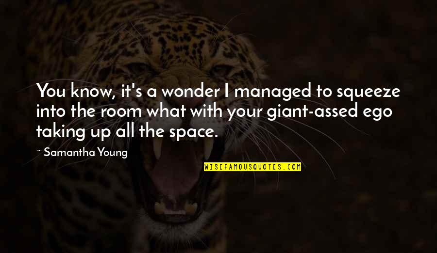 Young The Giant Quotes By Samantha Young: You know, it's a wonder I managed to