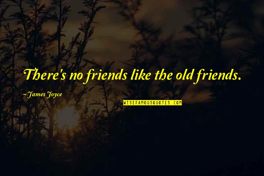 Young Victoria Quotes By James Joyce: There's no friends like the old friends.