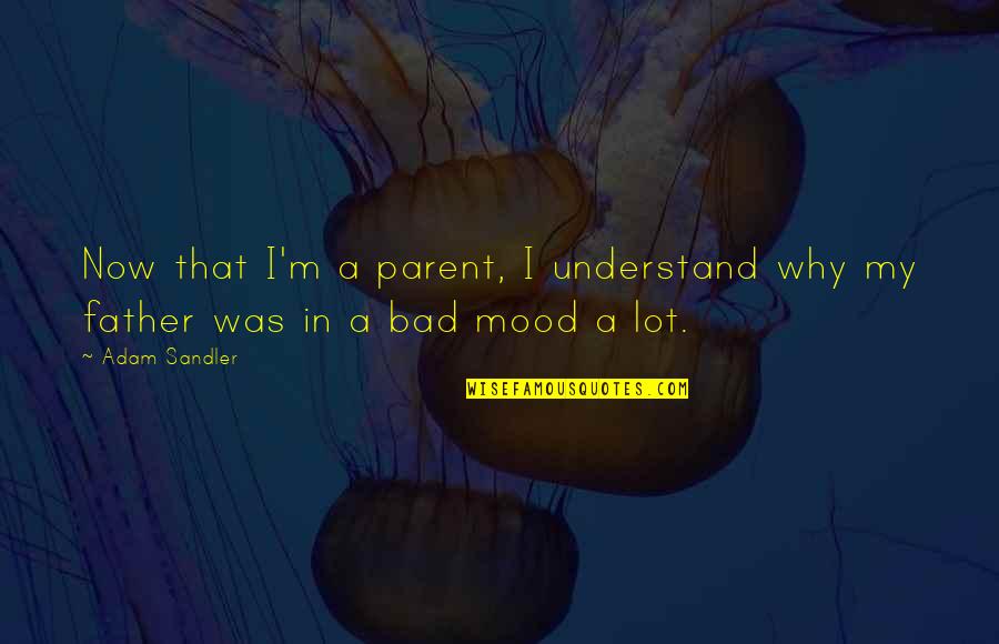 Your A Bad Parent Quotes By Adam Sandler: Now that I'm a parent, I understand why