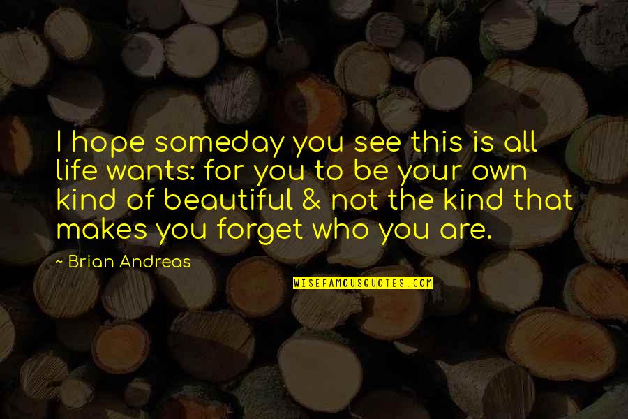 Your Are Beautiful Quotes By Brian Andreas: I hope someday you see this is all