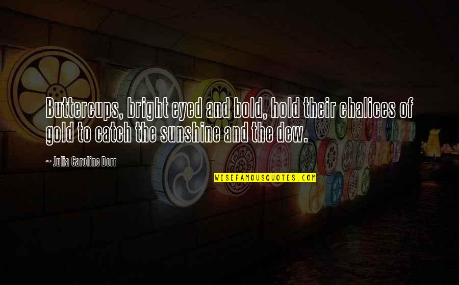 Your Are My Sunshine Quotes By Julia Caroline Dorr: Buttercups, bright eyed and bold, hold their chalices Your Are My Sunshine Quotes By Julia Caroline Dorr: Buttercups, bright eyed and bold, hold their chalices