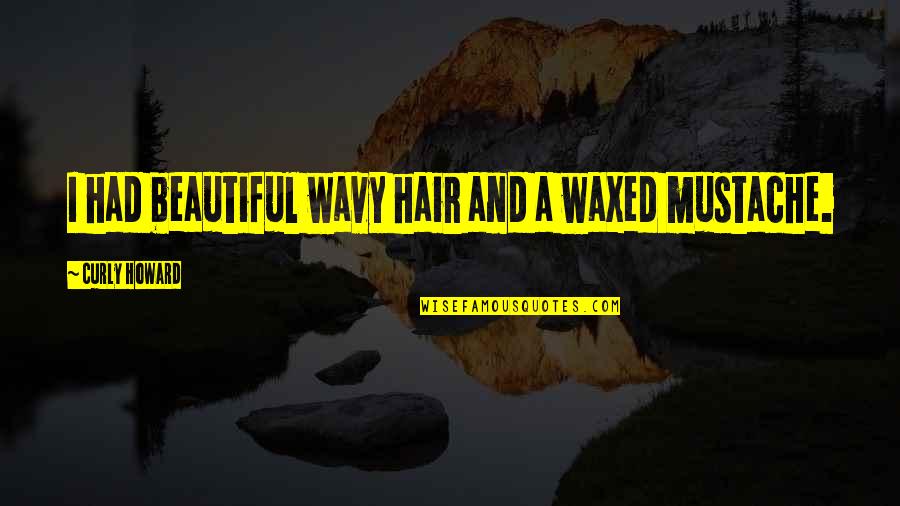 Your Beautiful Hair Quotes By Curly Howard: I had beautiful wavy hair and a waxed