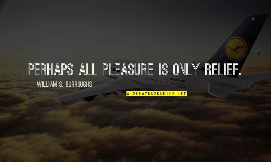 Your Boyfriend Keeping You A Secret Quotes By William S. Burroughs: Perhaps all pleasure is only relief.