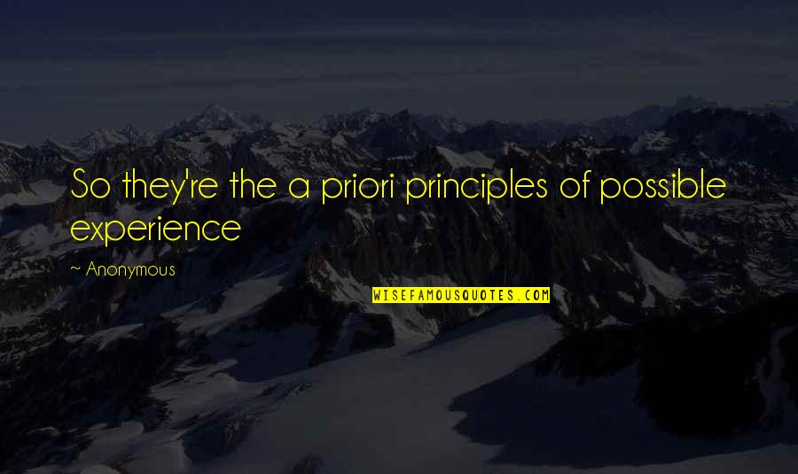 Your Child Being Your World Quotes By Anonymous: So they're the a priori principles of possible