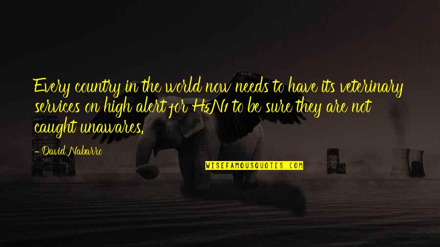 Your Country Needs You Quotes By David Nabarro: Every country in the world now needs to