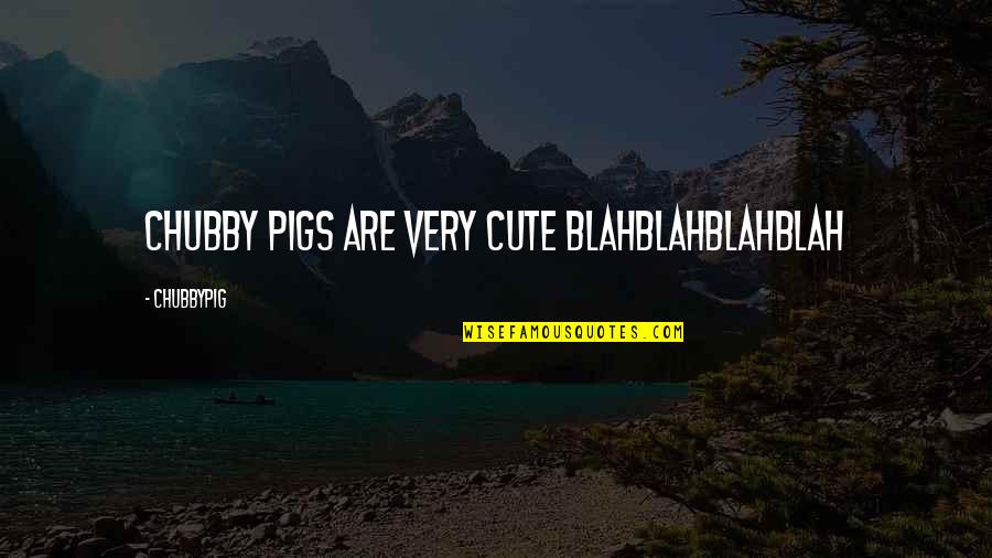 Your Cuteness Quotes By CHUBBYPIG: CHUBBY PIGS ARE VERY CUTE BLAHBLAHBLAHBLAH