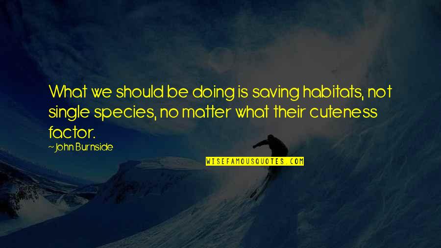 Your Cuteness Quotes By John Burnside: What we should be doing is saving habitats,