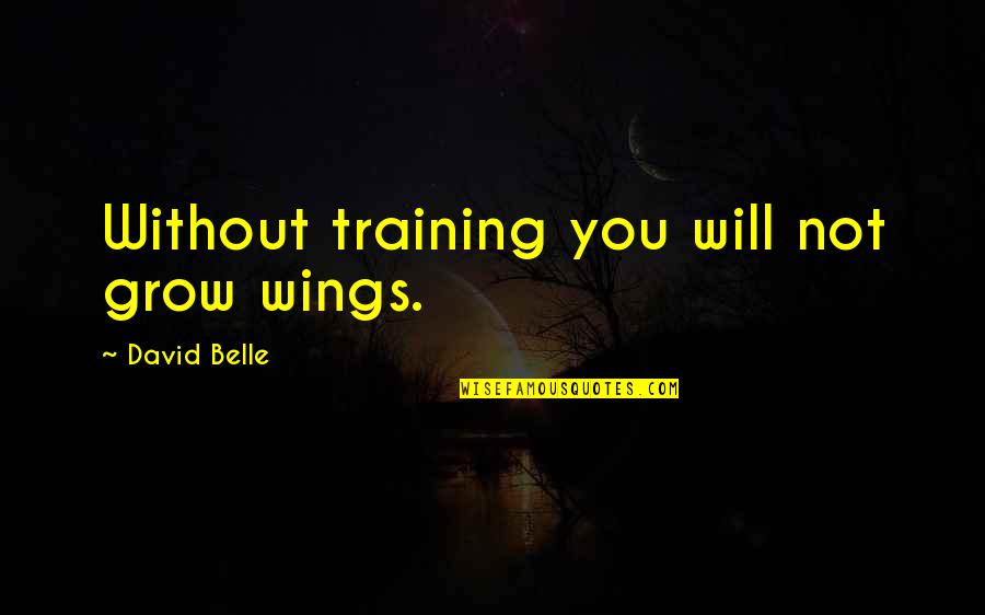 Your Dad Walking Out On You Quotes By David Belle: Without training you will not grow wings.