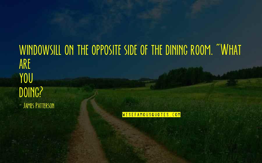 Your Dining Room Quotes By James Patterson: windowsill on the opposite side of the dining