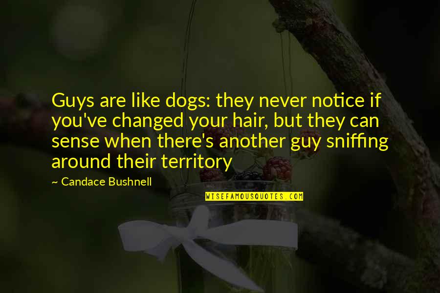 Your Dogs Quotes By Candace Bushnell: Guys are like dogs: they never notice if