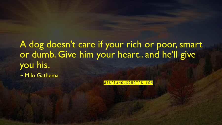 Your Dogs Quotes By Milo Gathema: A dog doesn't care if your rich or