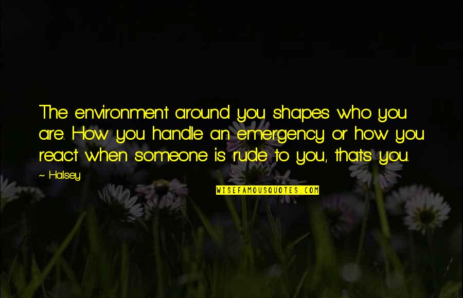 Your Emergency Quotes By Halsey: The environment around you shapes who you are. Your Emergency Quotes By Halsey: The environment around you shapes who you are.