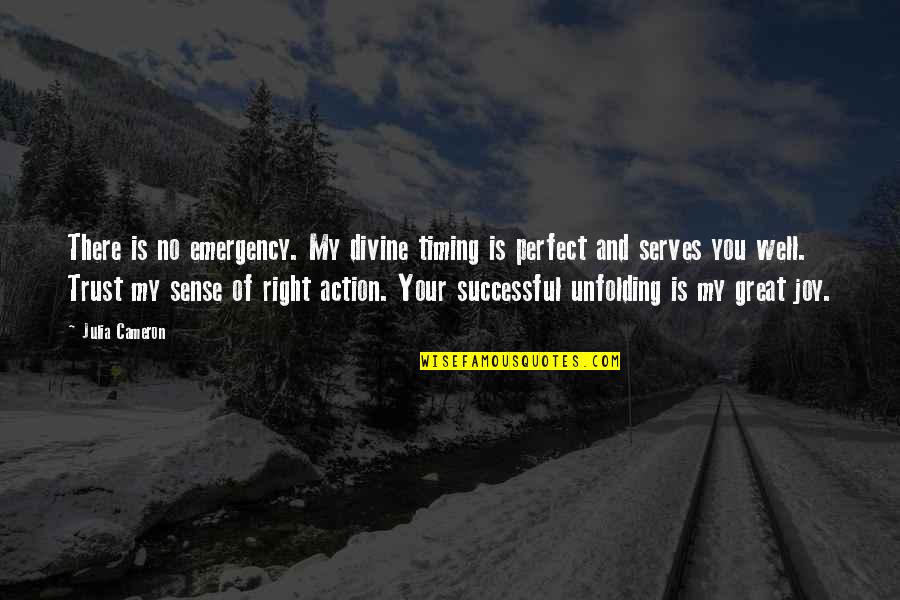 Your Emergency Quotes By Julia Cameron: There is no emergency. My divine timing is Your Emergency Quotes By Julia Cameron: There is no emergency. My divine timing is