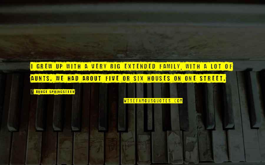 Your Extended Family Quotes By Bruce Springsteen: I grew up with a very big extended Your Extended Family Quotes By Bruce Springsteen: I grew up with a very big extended