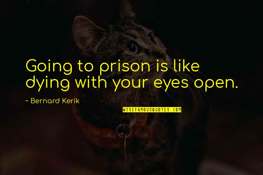 Your Eyes Like Quotes By Bernard Kerik: Going to prison is like dying with your
