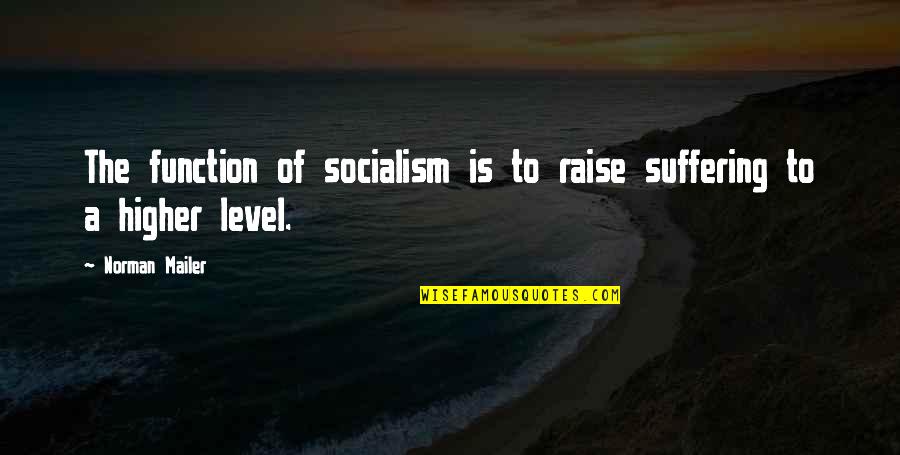 Your Favorite Aunt Quotes By Norman Mailer: The function of socialism is to raise suffering