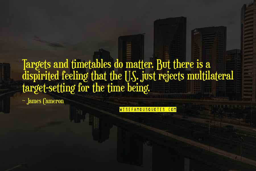 Your Feelings Matter Quotes By James Cameron: Targets and timetables do matter. But there is Your Feelings Matter Quotes By James Cameron: Targets and timetables do matter. But there is