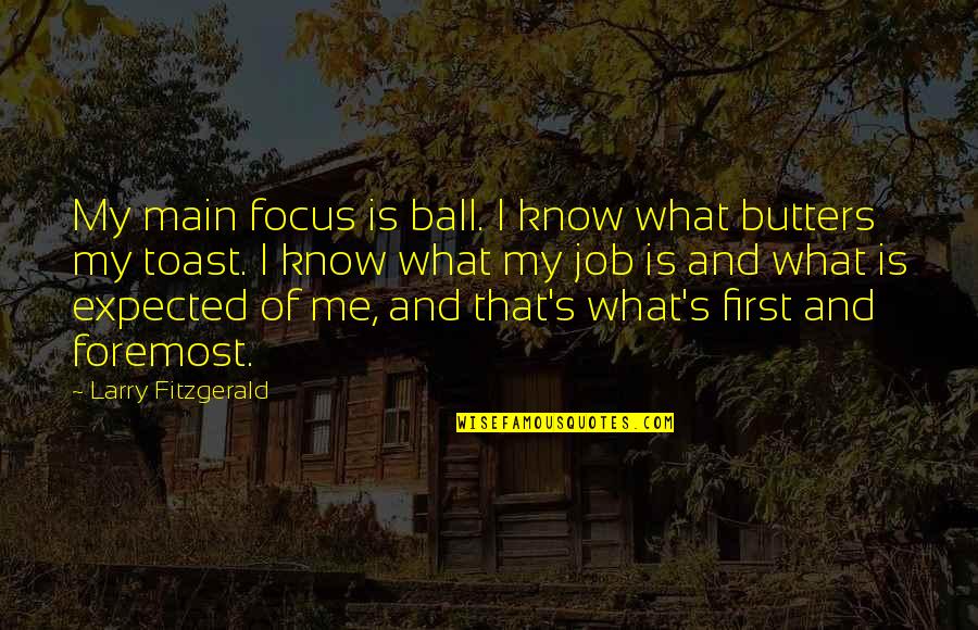 Your First Job Quotes By Larry Fitzgerald: My main focus is ball. I know what