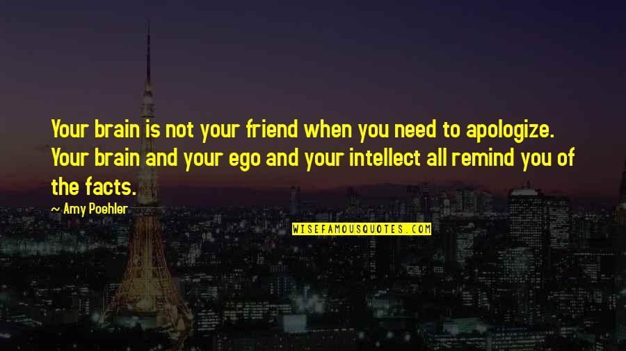 Your Friend Is Quotes By Amy Poehler: Your brain is not your friend when you Your Friend Is Quotes By Amy Poehler: Your brain is not your friend when you
