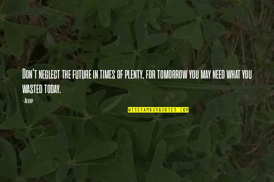 Your Future Needs You Quotes By Aesop: Don't neglect the future in times of plenty,