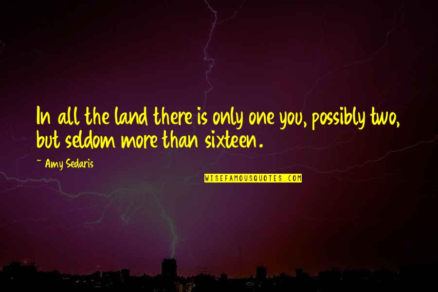 Your Gonna Be Fine Quotes By Amy Sedaris: In all the land there is only one