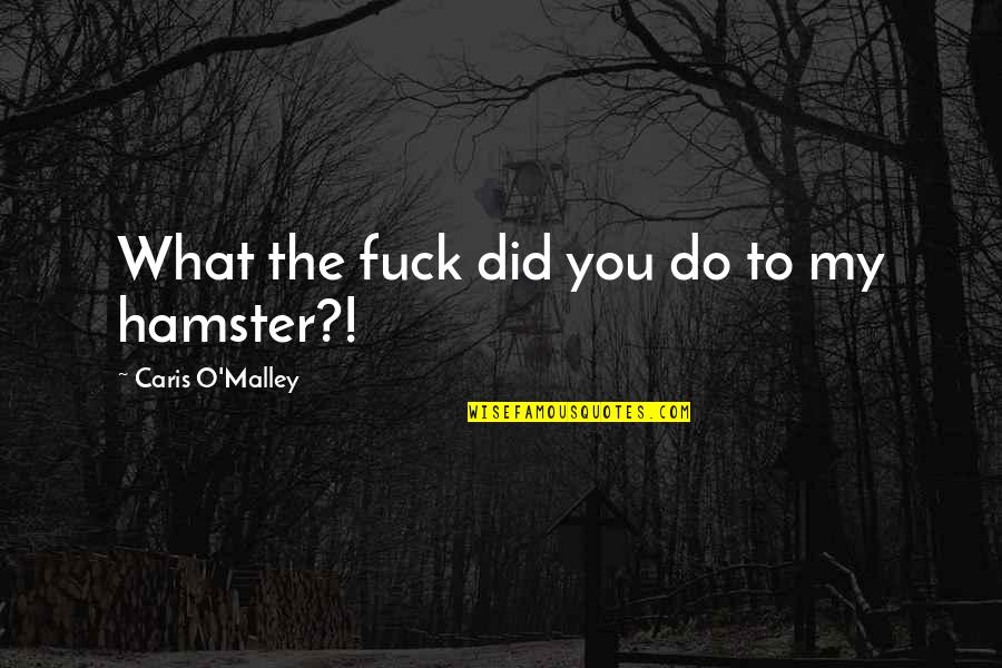 Your Hamster Quotes By Caris O'Malley: What the fuck did you do to my Your Hamster Quotes By Caris O'Malley: What the fuck did you do to my