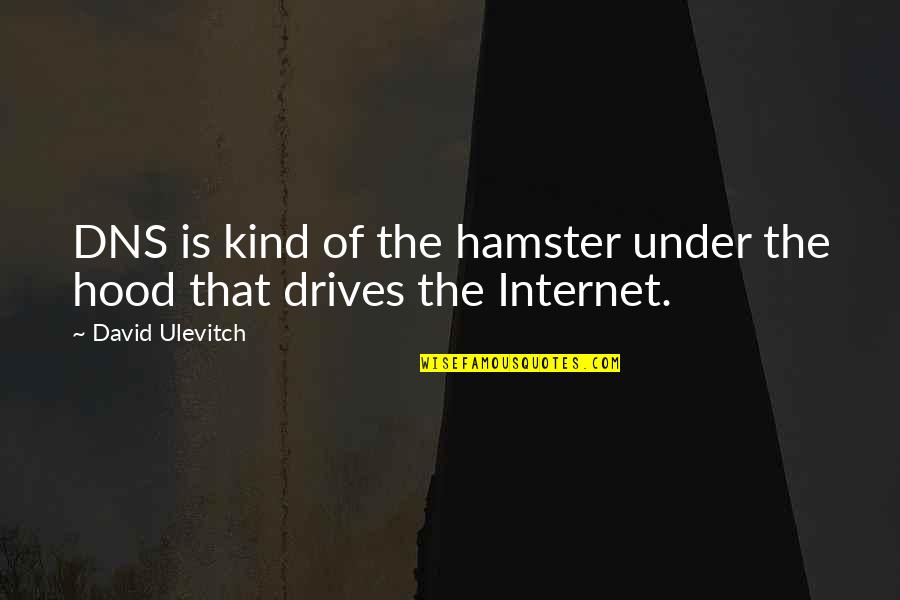 Your Hamster Quotes By David Ulevitch: DNS is kind of the hamster under the Your Hamster Quotes By David Ulevitch: DNS is kind of the hamster under the